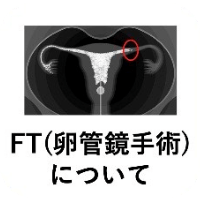 FT（卵管鏡手術）